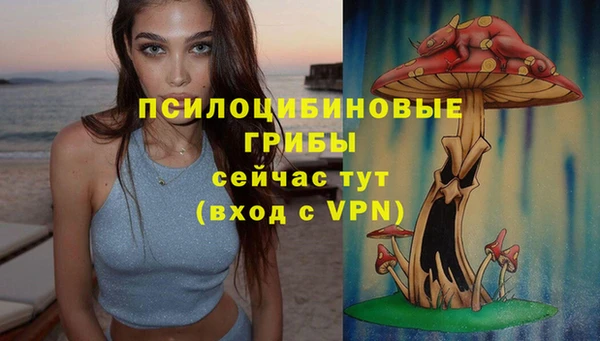 твердый Алексеевка
